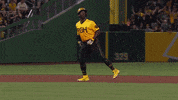 Celebrate Lets Go GIF by Pittsburgh Pirates