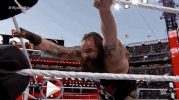 bray wyatt wrestling GIF by WWE