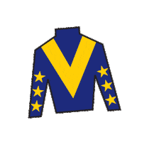 Sport Silk Sticker by Kentucky Derby
