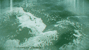 Water Encourage GIF