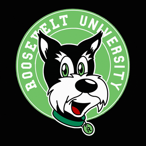 RooseveltU college chicago rooseveltu rooseveltuniversity GIF