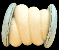 Dessert Vanilla GIF by Horang