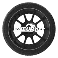 Pneubest car race speed ecommerce Sticker