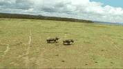 mic environment GIF