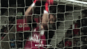 frustrated sl benfica GIF by Sport Lisboa e Benfica