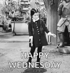 Wednesday Addams GIF by memecandy