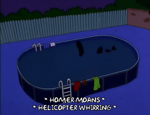 homer simpson GIF