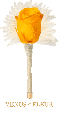 wedding rose Sticker by Venus ET Fleur