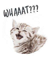 dotsure what whaaat dotsure dotsurepetsa Sticker