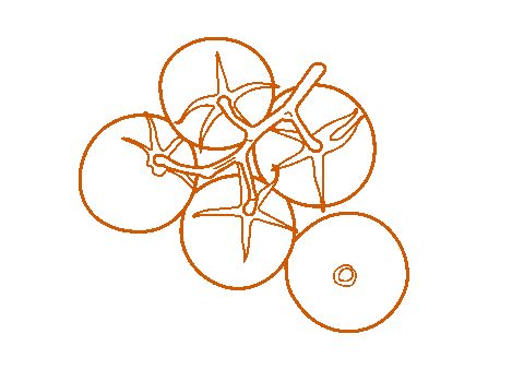 Tomato Sticker by Common Stitch