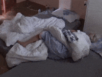 Good Morning 세븐틴 GIF