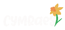 Merch Dydd Gwyl Dewi Sticker