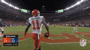 2018 nfl football GIF by NFL