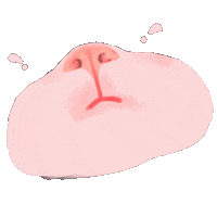 Cat Kiss Sticker