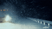 Driving Laura Vandervoort GIF by Hallmark Mystery