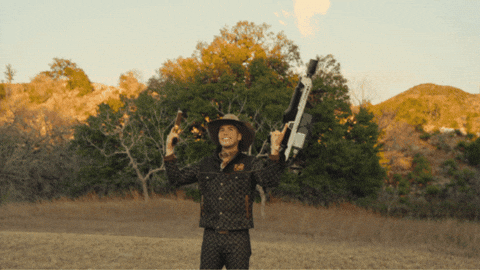 Cowboy GIF by The Exotics Network