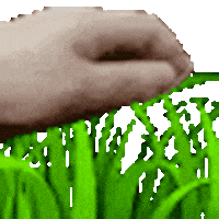 Discord Grass Sticker