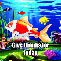 Appreciation Gratitude GIF by TheConfishius