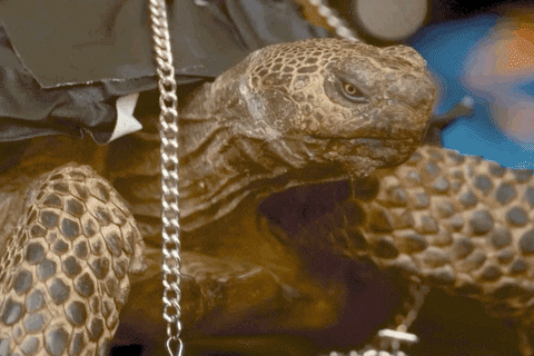 Move Love GIF by Manifest Destiny Down: SPACETIME