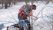 maple syrup scifri GIF by Science Friday