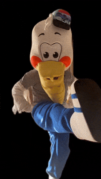 StPeteRunFest petey stpeterunfest sprf runstpete GIF