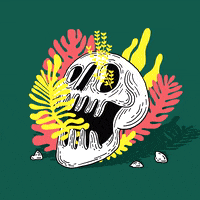 death skull GIF by Another90sguy