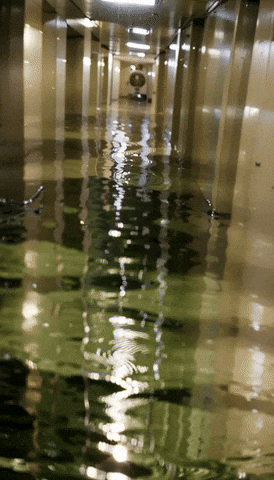 Space Sd GIF by Aleksey Efremov