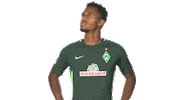 happy werder bremen Sticker by Bundesliga
