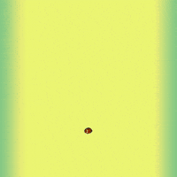 Super Bowl Football GIF by Avocados From Mexico