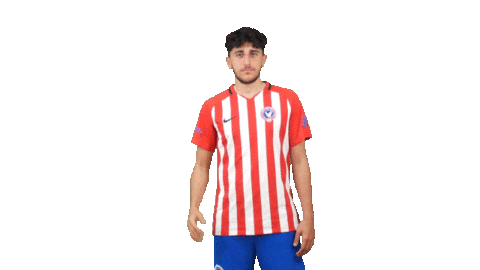 Football Soccer Sticker by Gulf United FC