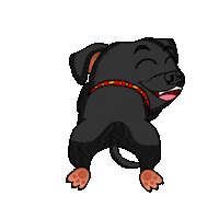 Staffordshire Bull Terrier Staffy Sticker by SBT1935
