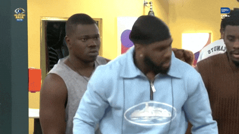 Bbnaija Fights GIF by Big Brother Naija