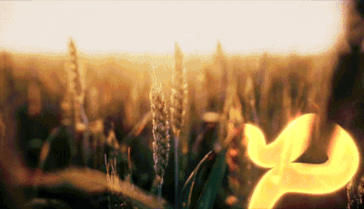 3cproductions giphyupload GIF