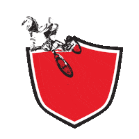 teamtvesport bmx tve teamtvesport tvesport Sticker