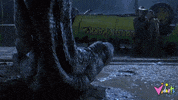 GIF by Vidiots