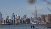 viceland GIF by MY HOUSE
