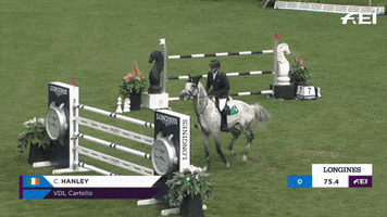 FEI_Global reaction happy sport yes GIF