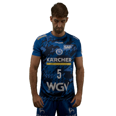 Handball Stuttgart Sticker by DAIKIN HBL