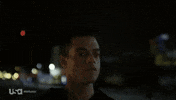 GIF by Giphy QA