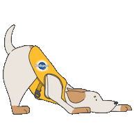 PedigreeBR dog puppy cachorro tail Sticker