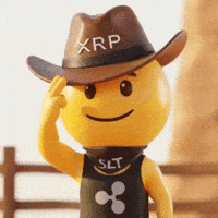 You Got It Cowboy GIF by SaluteXRPL