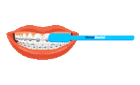 Sticker by OrthoDontic