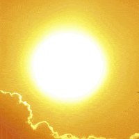 Joe Biden GIF by Creative Courage