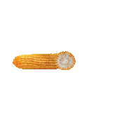 latinasementes milho agri latinaseeds latinasementes Sticker