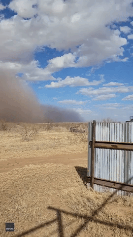 'Wall of Dust' Covers Field as High Winds Sweep Across West Texas