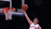 jeremy lin basketball GIF