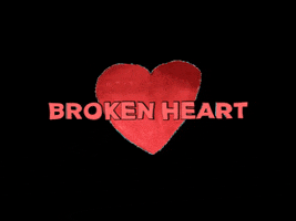 GIF by Kunstkwartier