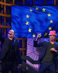 BNNVARA eth bnnvara esf even tot hier GIF