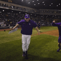 College Sports Sport GIF by LSU Tigers