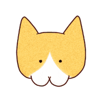 onure_weather cat 고양이 캐릭터 onureweather Sticker